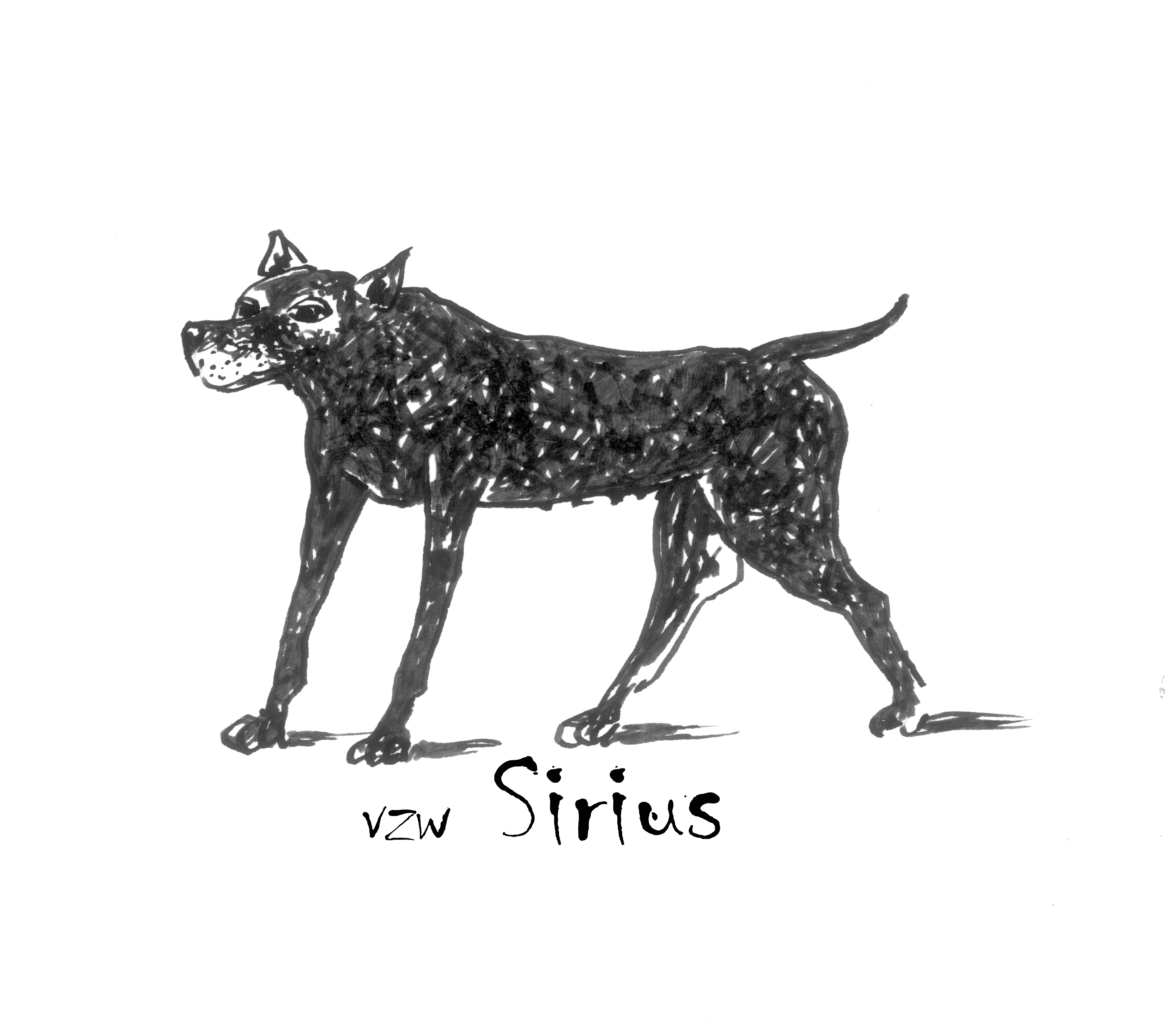 Hondenopvang/Herplaatsing Sirius