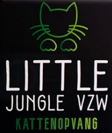 Little Jungle vzw kattenopvang