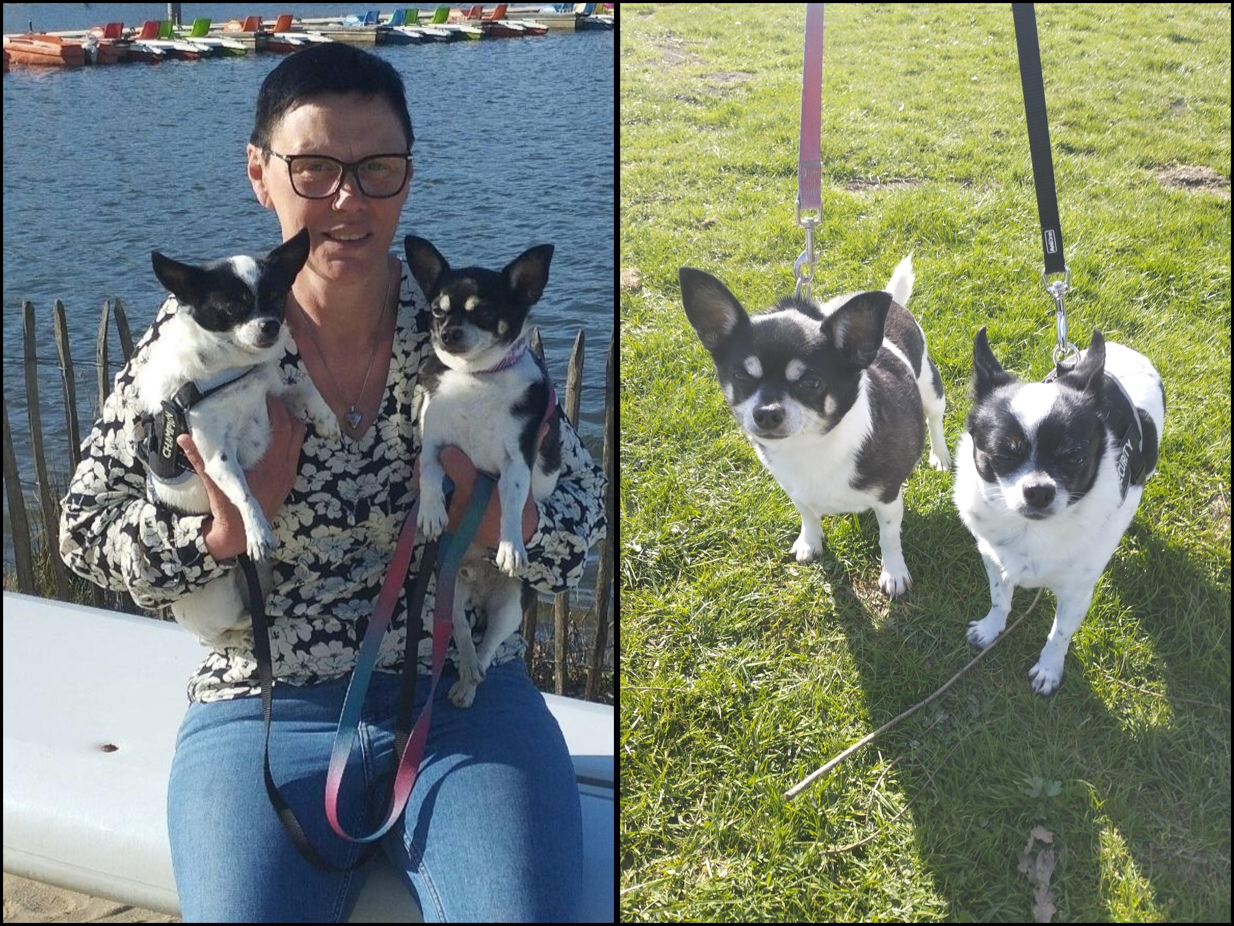 Quinten duoadoptie met Rani
