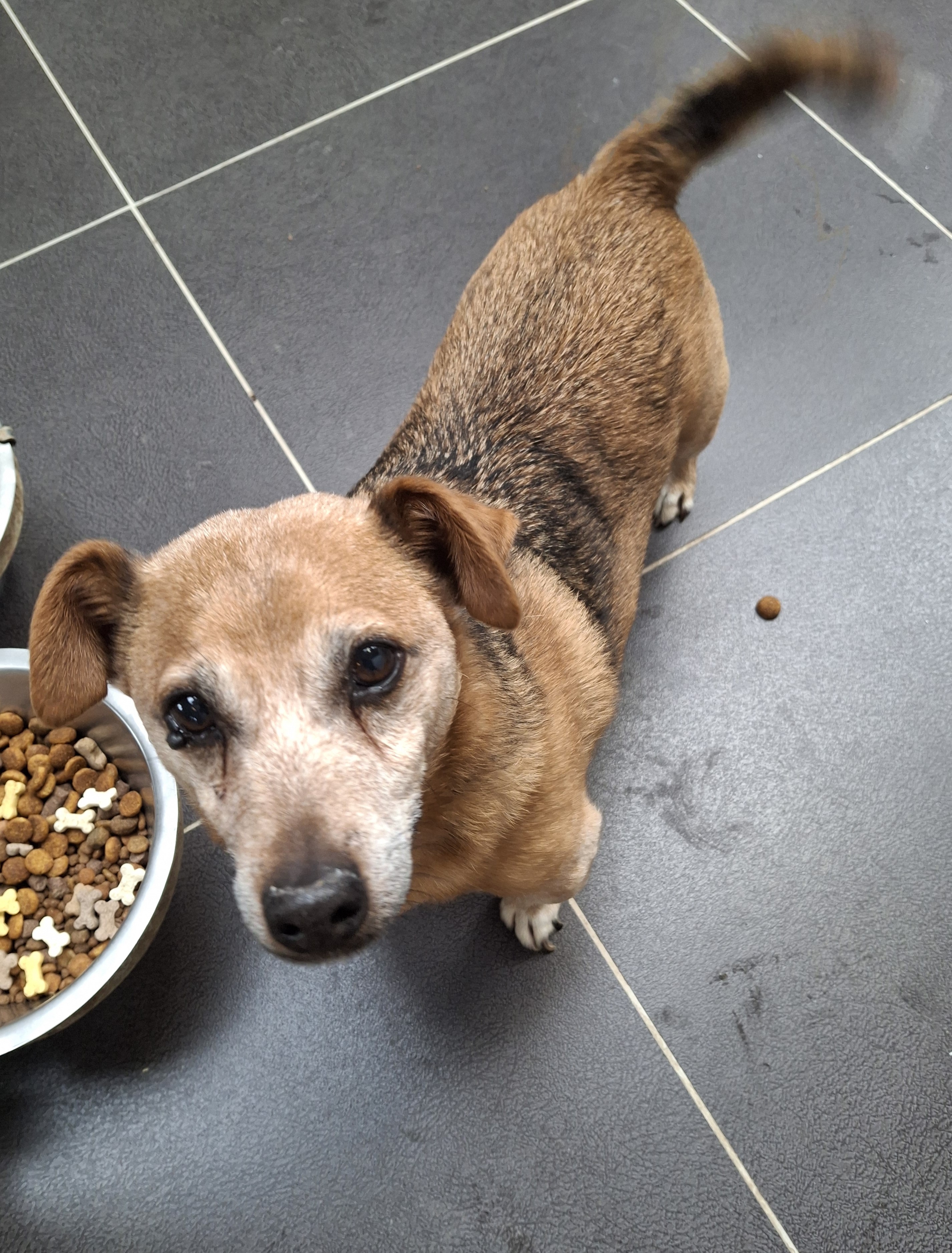 Rinus
