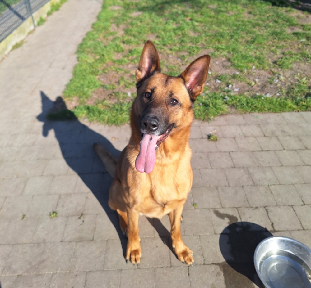 Tito