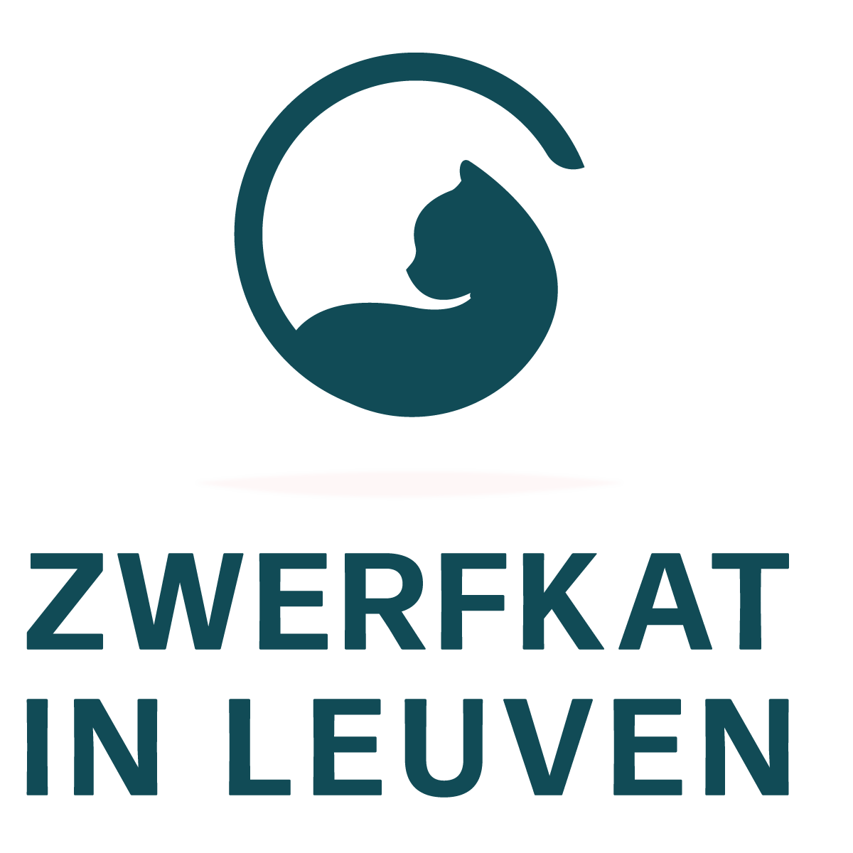 Zwerfkat in Le(u)ven vzw