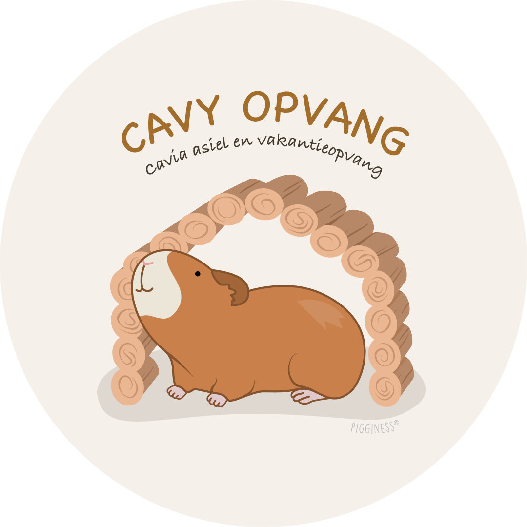 Cavy Opvang VZW