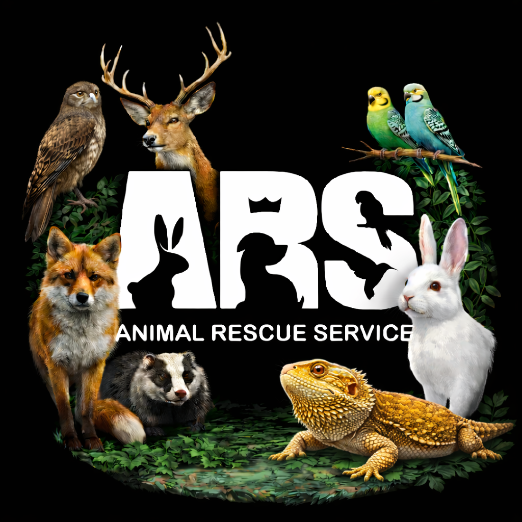 Animal Rescue Service vzw