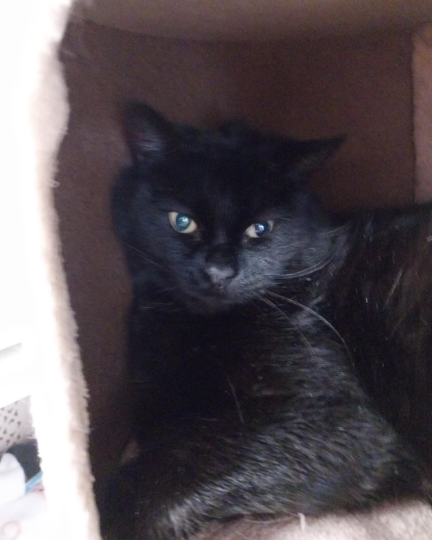 Additional picture of Mona