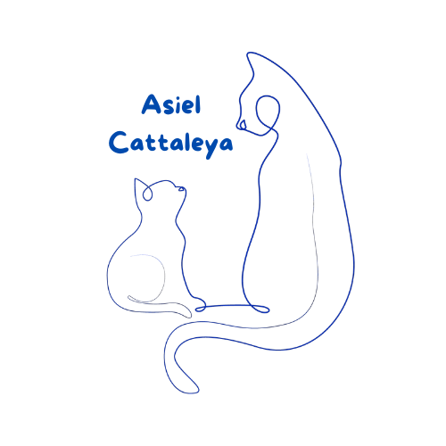 Asiel Cattaleya
