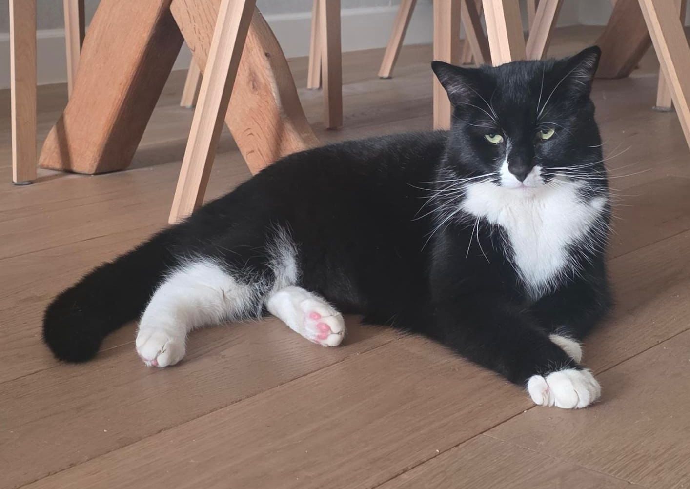 SLOEBER - DUO-adoptie met SWA