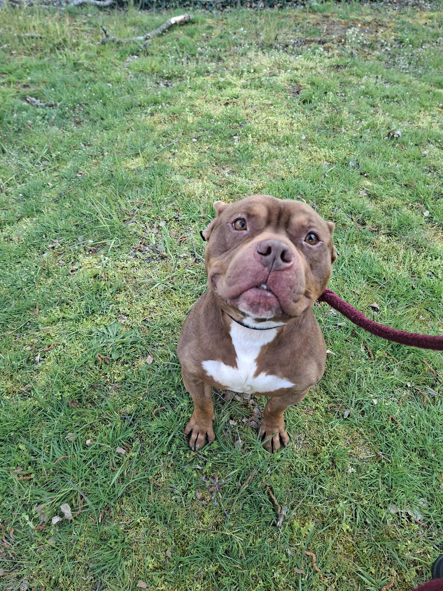 Tyson
