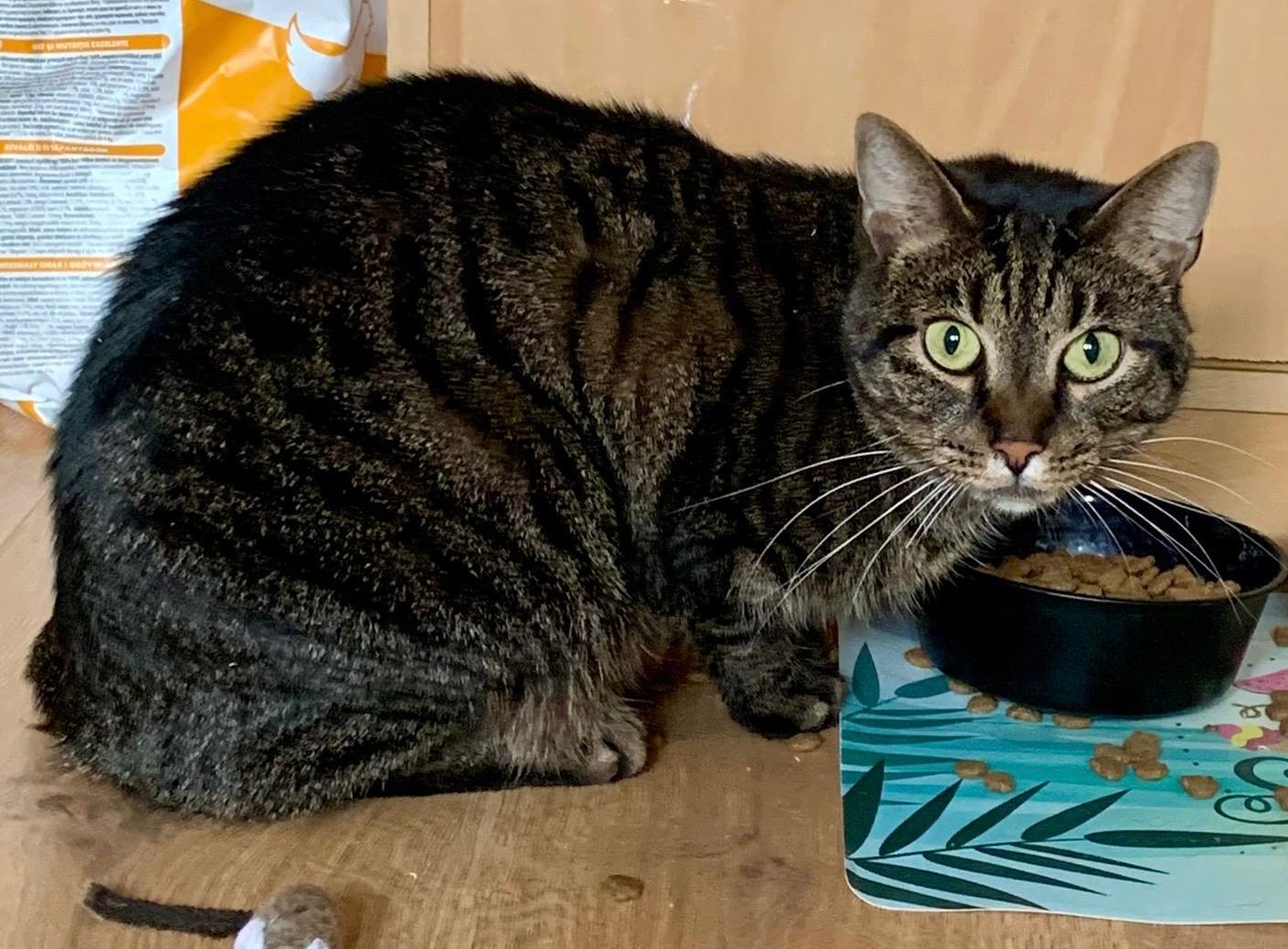 MIRA - duo-adoptie met TIMO