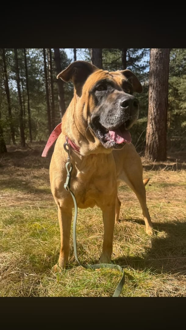 Bella