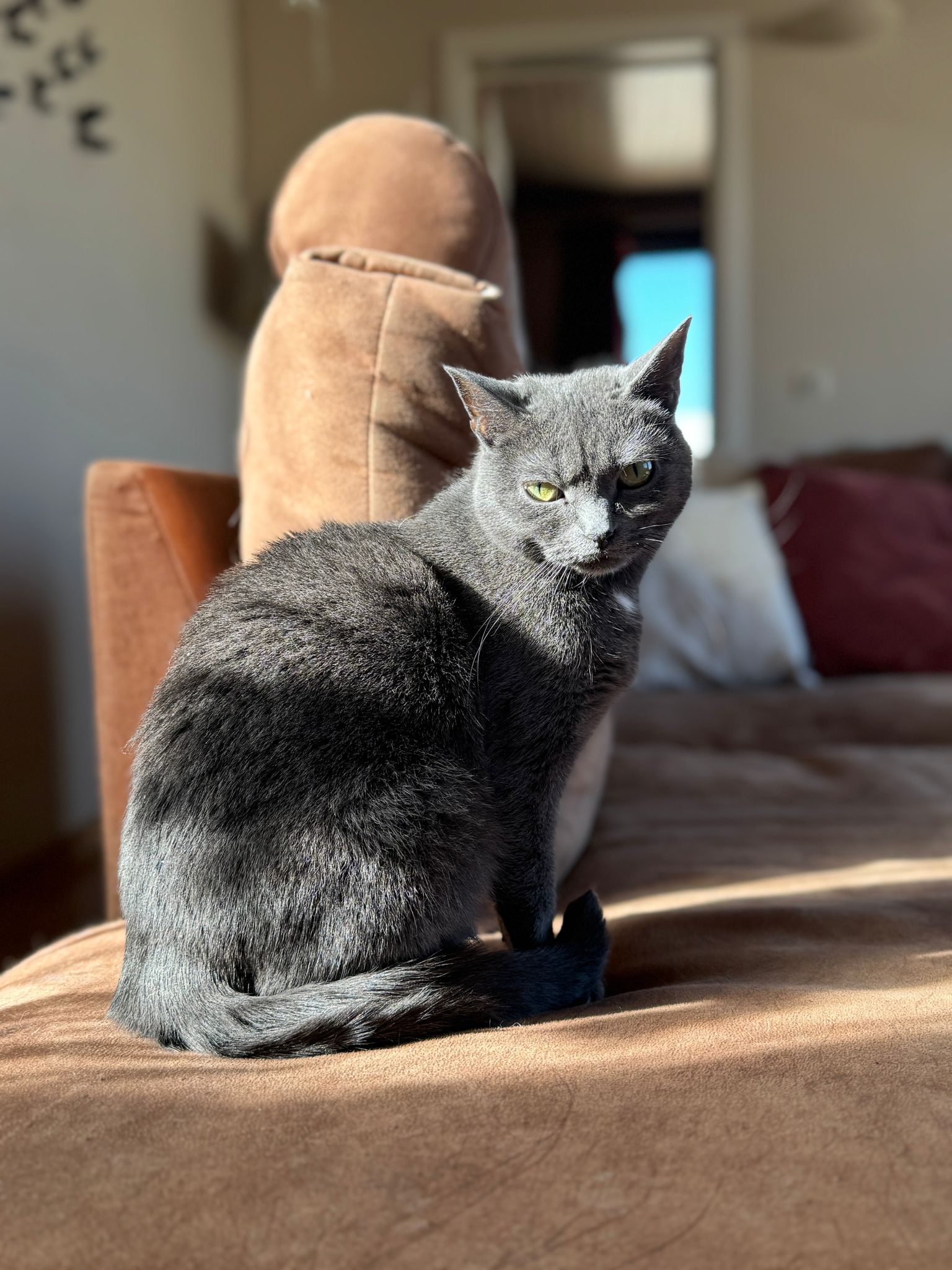 MIO - duo-adoptie met LILY