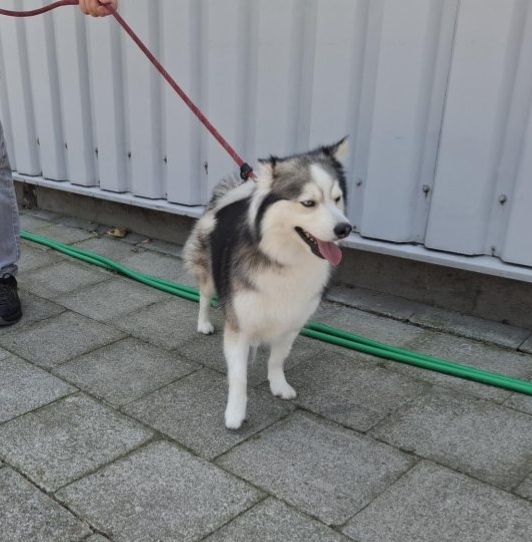 Luna