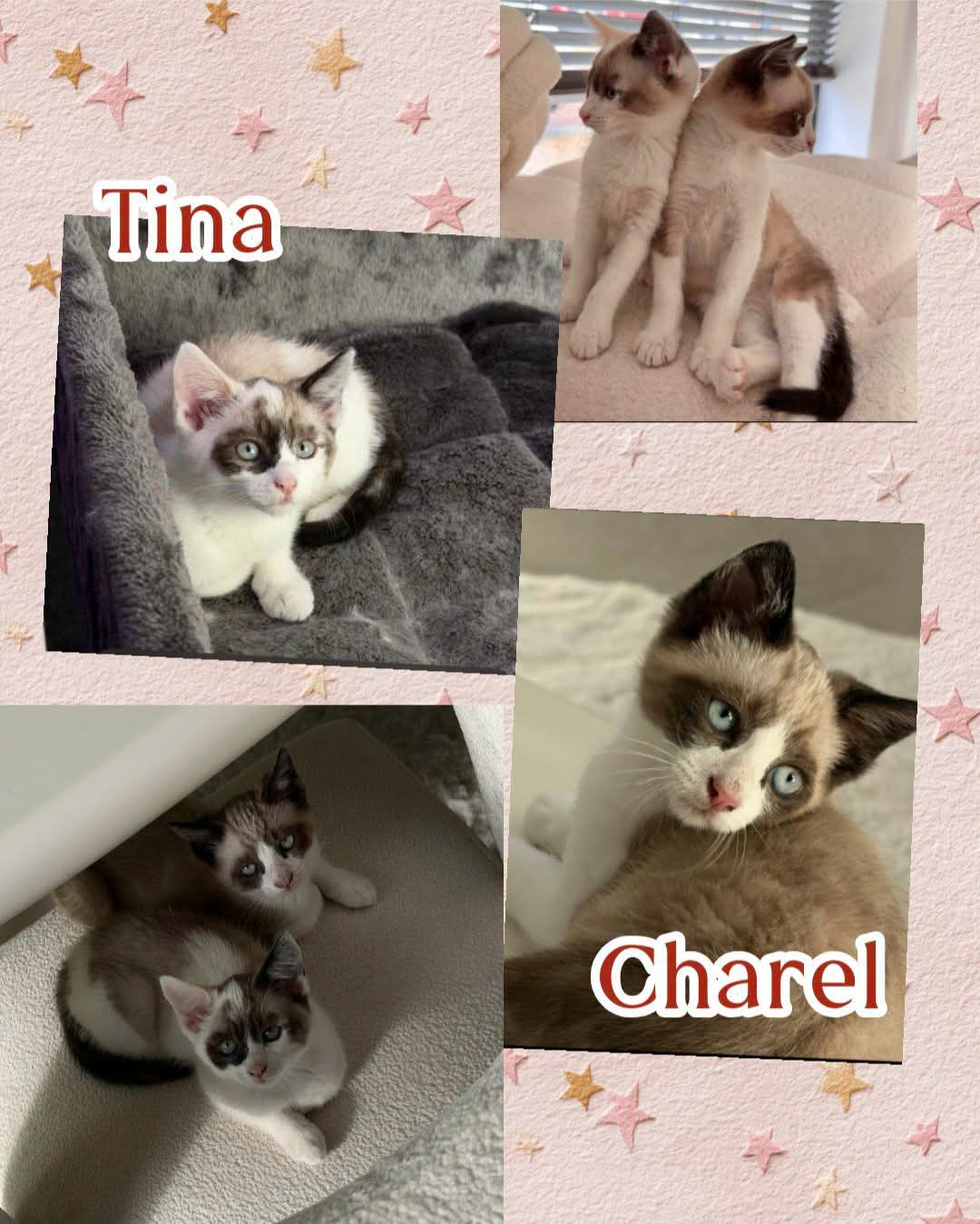 Tina