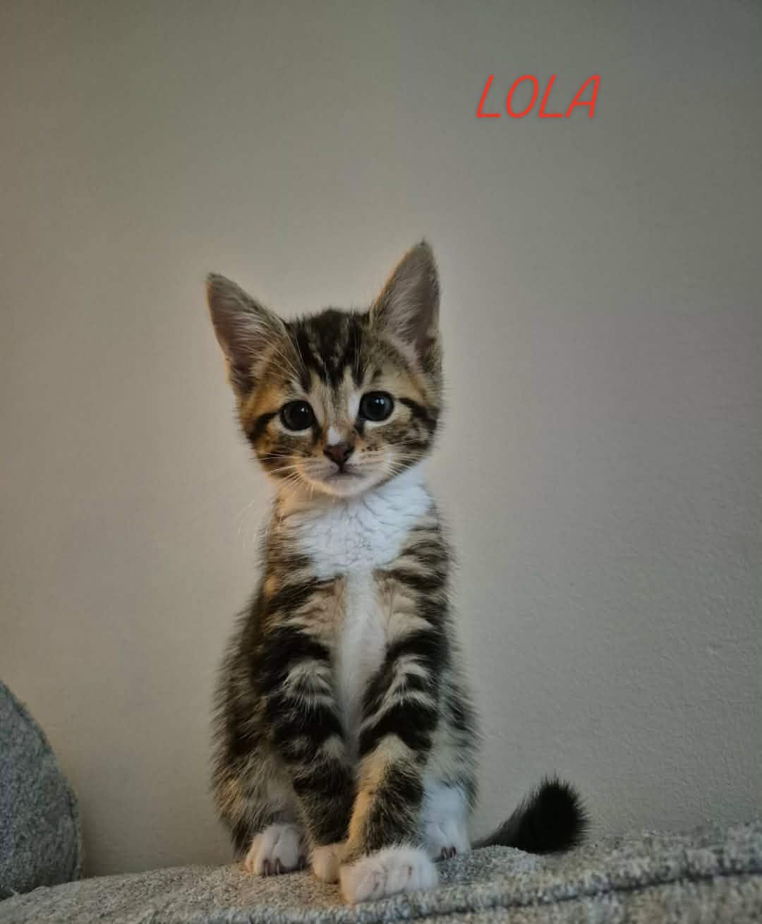 Lola