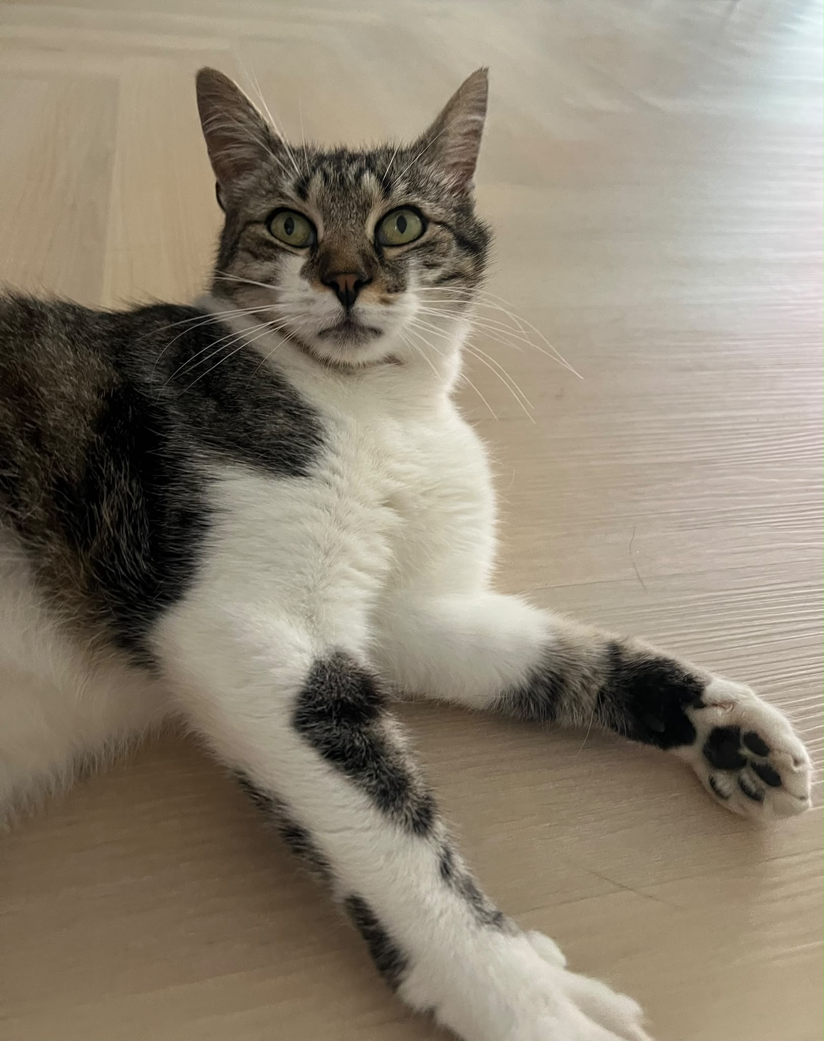 Foto Kiko