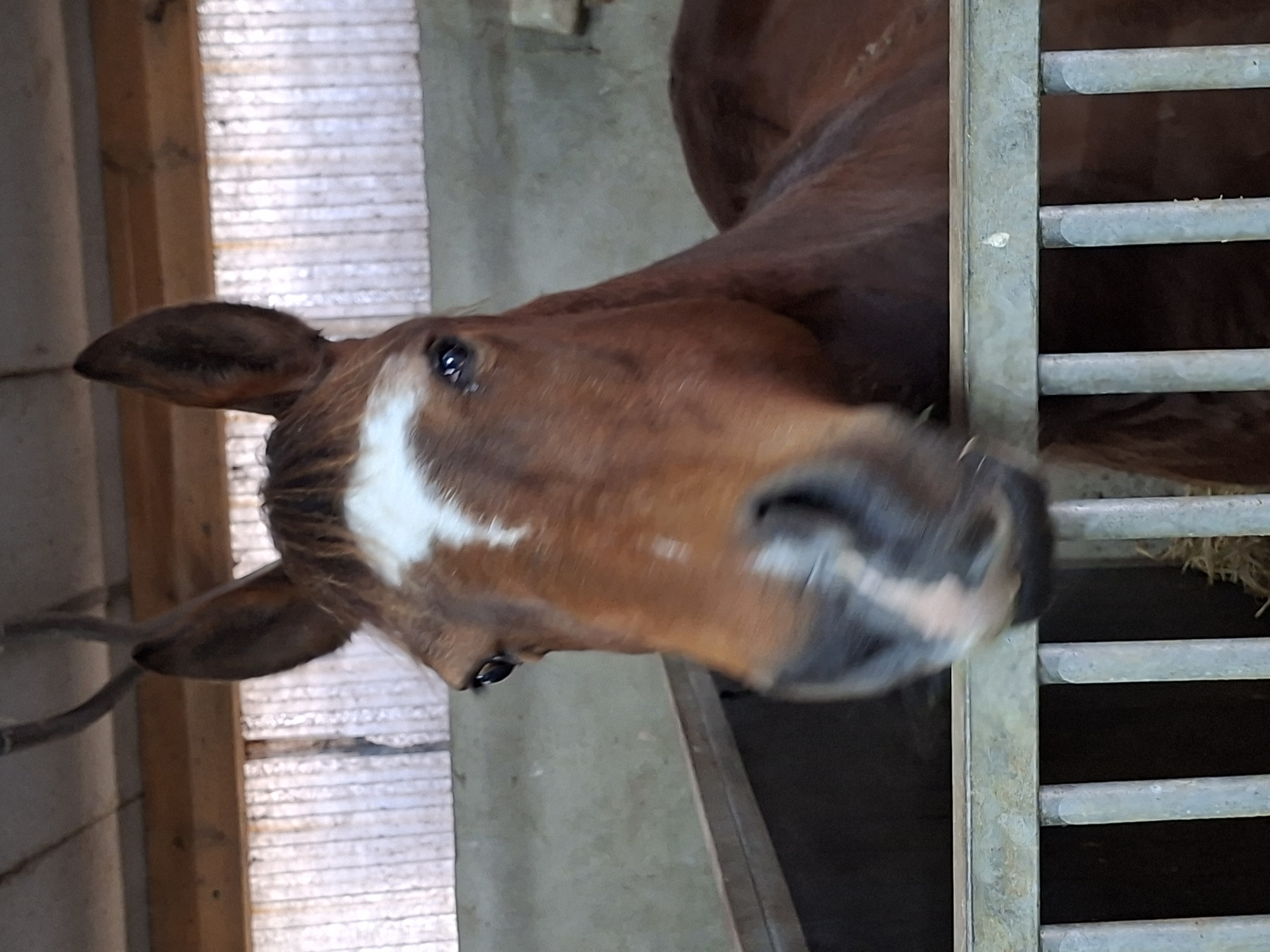 BILLY