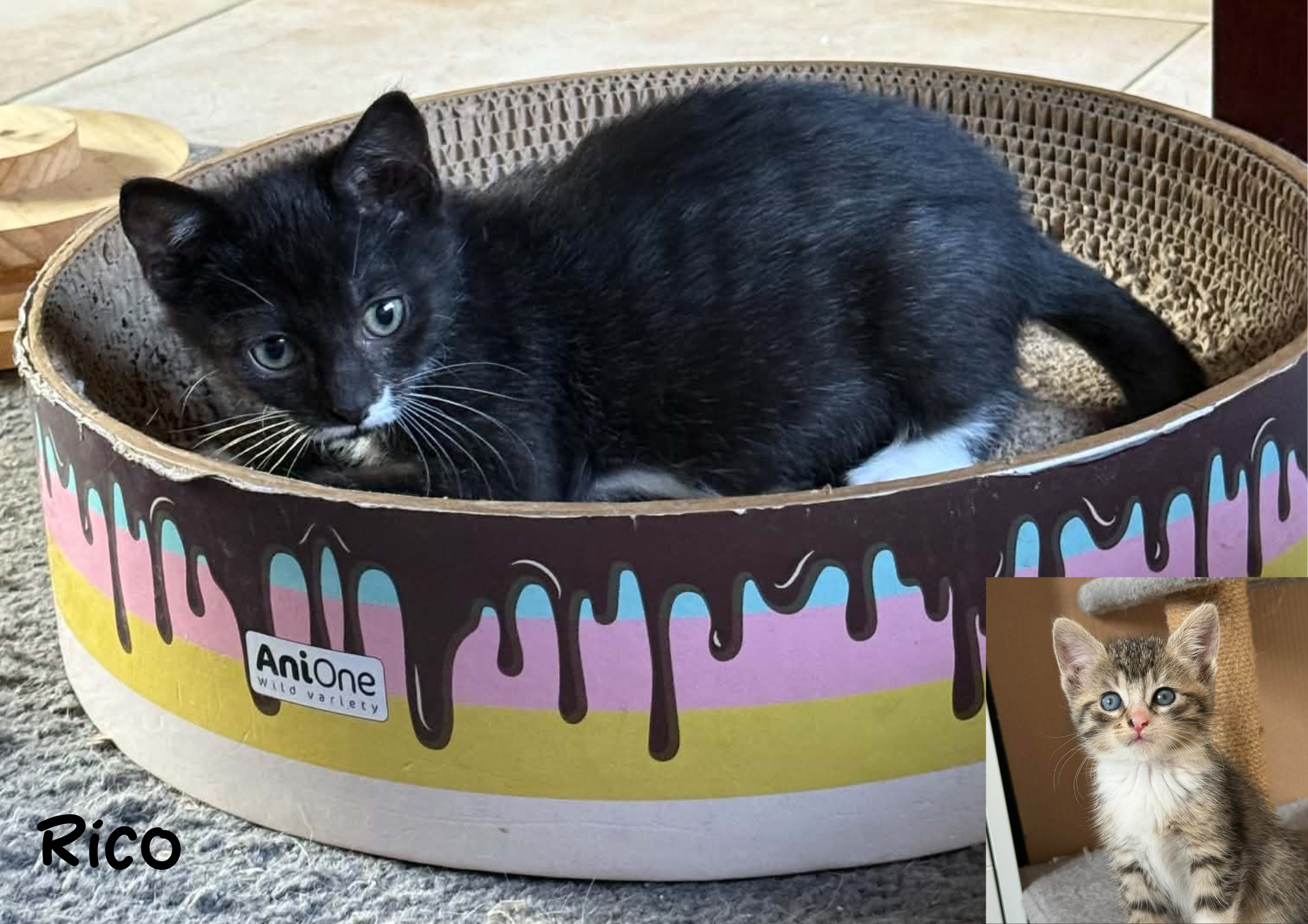 Rico