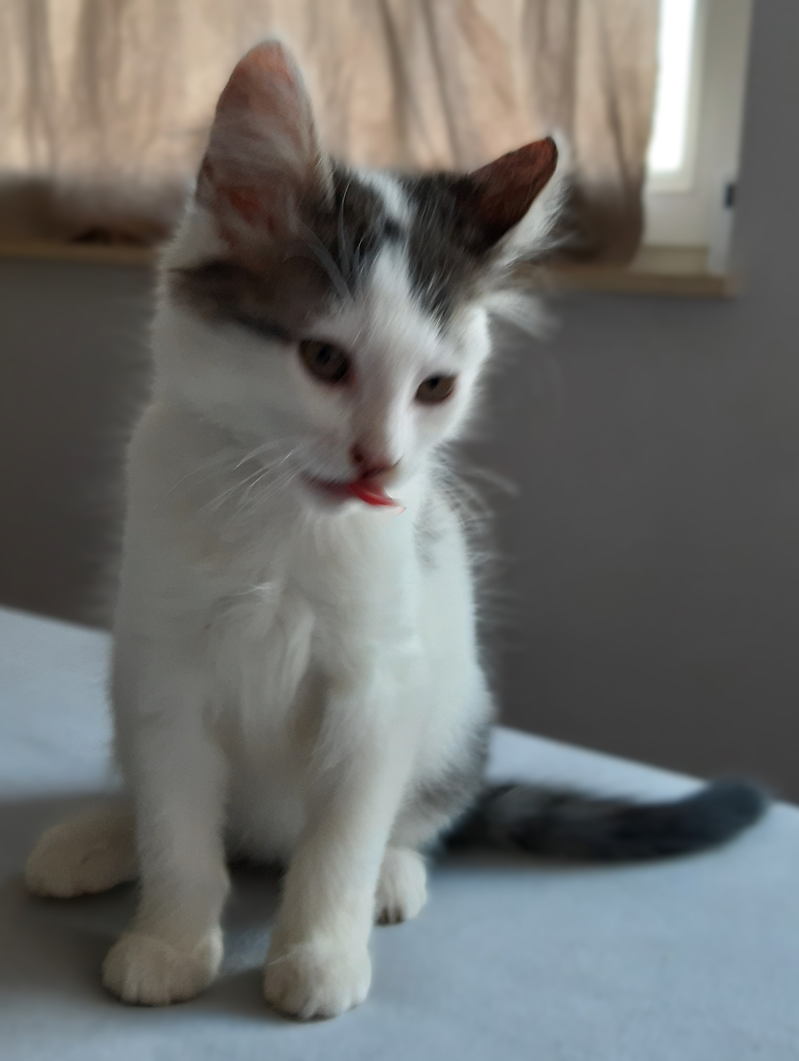 Additional picture of Lennon