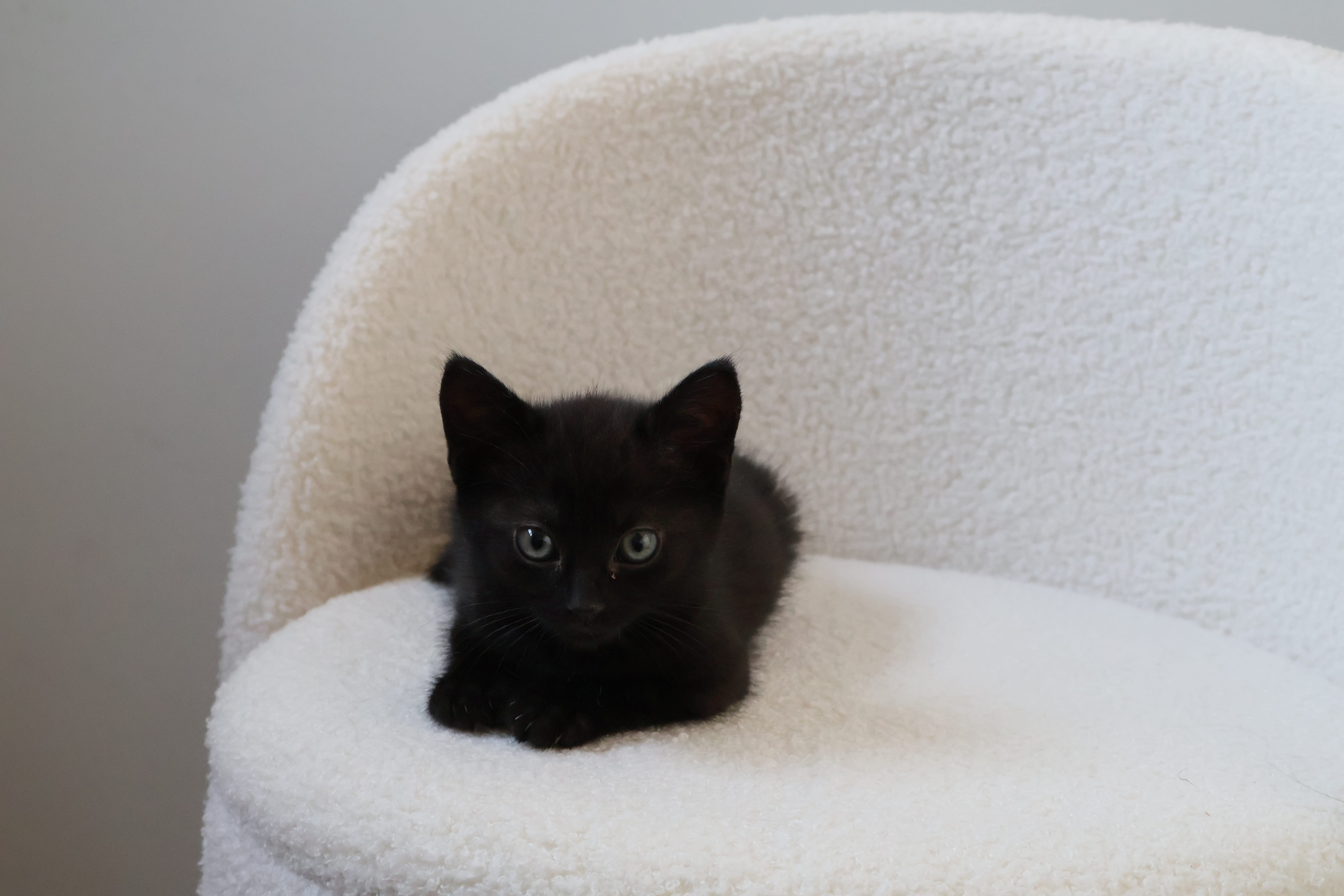 Additional picture of Cay